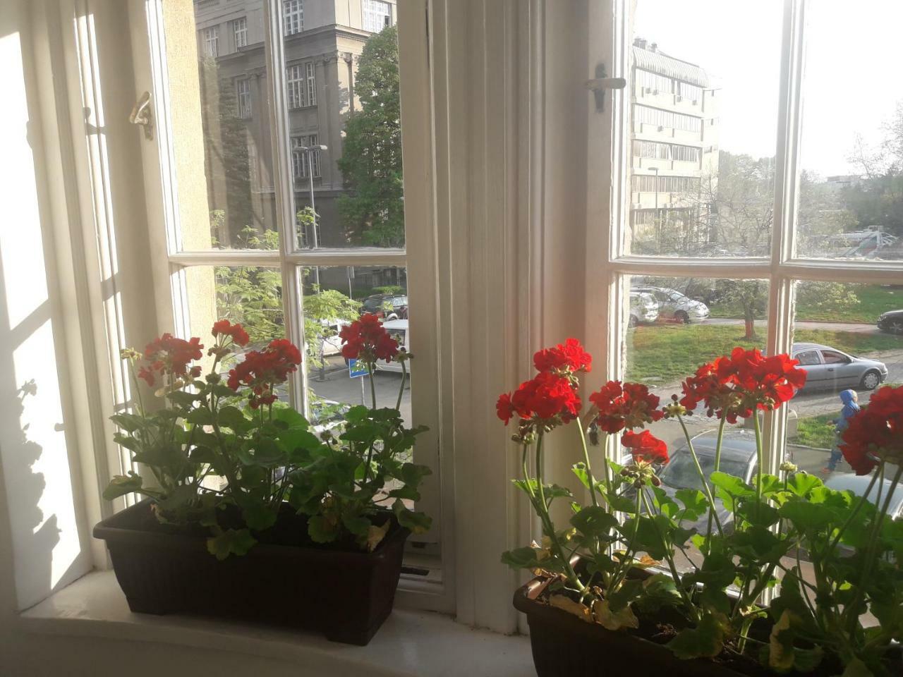 Apartment Hana Lux Belgrad Zewnętrze zdjęcie